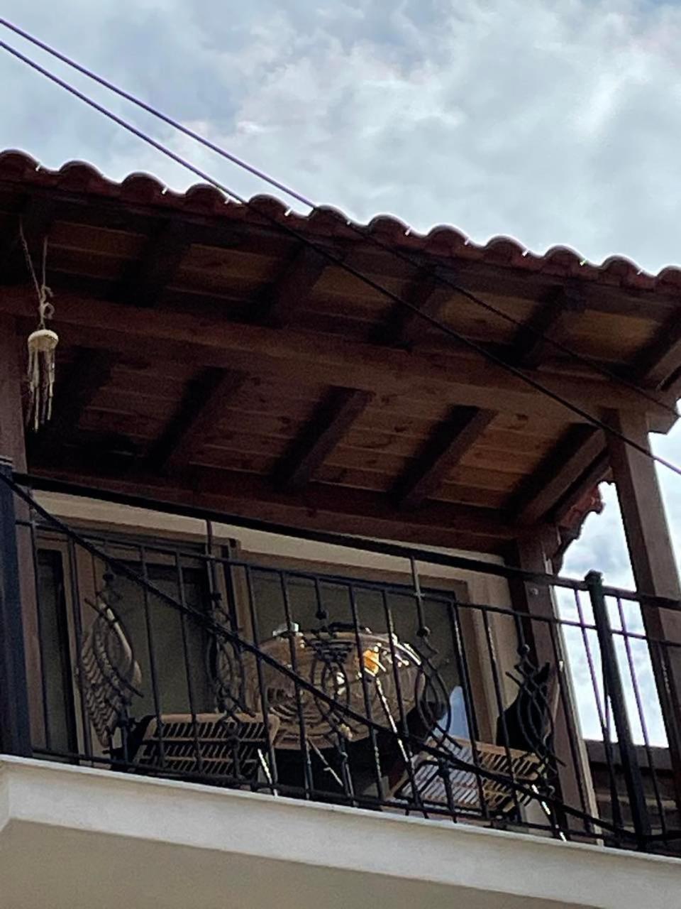 Eumorphia Studios & Apartments Skiathos Town Bagian luar foto